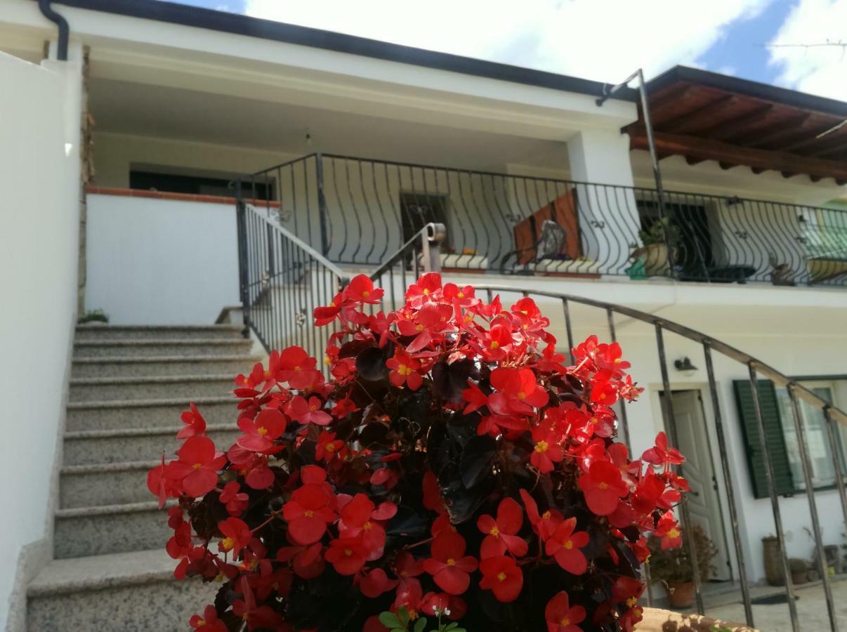Il Giardino Apartment Lotzorai Exterior photo